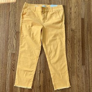 NWT Girlfriend Chinos Loft Factory